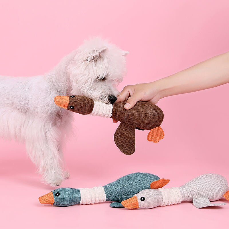 Teeth Cleaning Pet Dog Chew Toys for Small Medium Dogs French Bulldog Pug Squeaky Puppy Cat Plush Toy masoctas Shop Accessorios