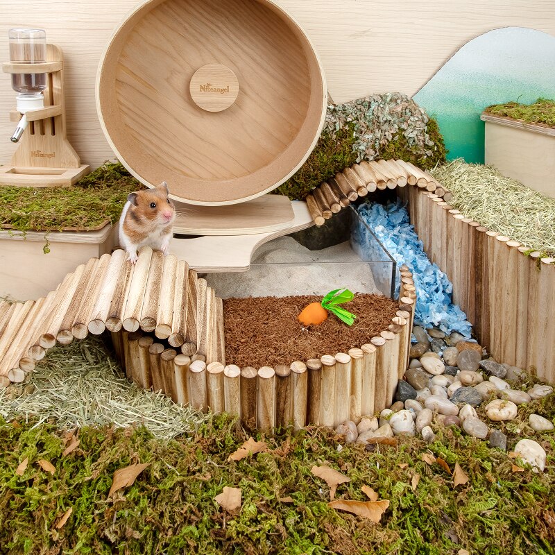 Pont de Hamster en bois, jouets suspendus, ours doré, cochon d&#39;inde, Tunnel d&#39;escalade, jouets à mâcher molaires, fournitures pour petits animaux