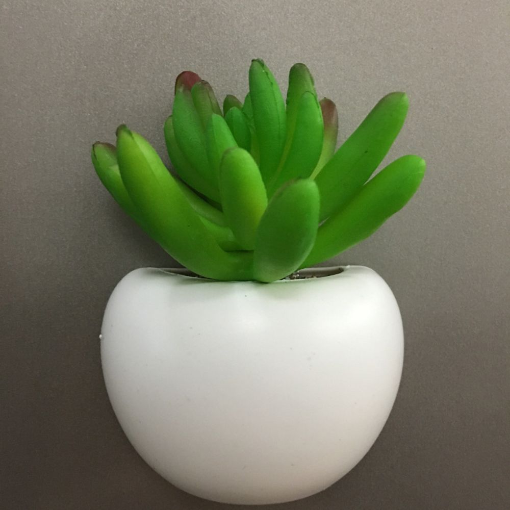 Succulent Plant Fridge Magnets Label Mini Bonsai Magnet Button Potted Simulation Plant Refrigerator Message Sticker Home Decor: Chrysanthemum