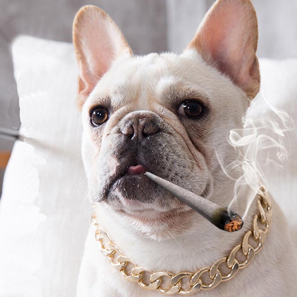 Rostfritt stål hundkedja metallträning husdjurshalsband tjocklek guld silver slip hundhalsband för stora hundar bulldog