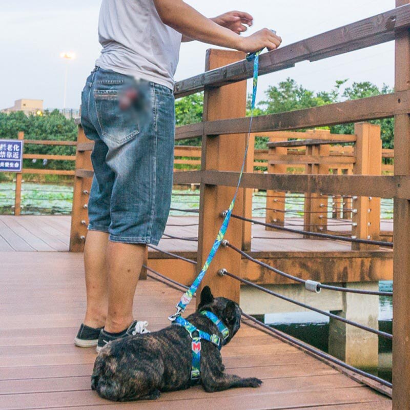 Hund Brustgurt Geeignet Für Kleine Und Mittlere Große Hunde Mit EINEM Drei-Stück Brustgurt