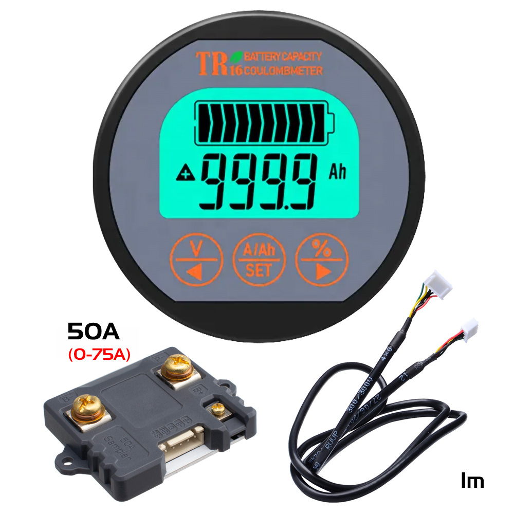 Coulomètre de test de capacité de batterie de haute précision, 50a/100a/350a, pour Pb li-lon LiFePo NiMH Nicd Pe types de batteries TR16: 80V 50A