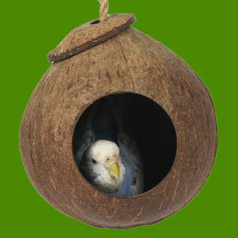 Fugle kokosnødskal opdræt reden fuglehus tigerhud perle fugl papegøje rede stor fuglerede varm anti-bid fuglerede