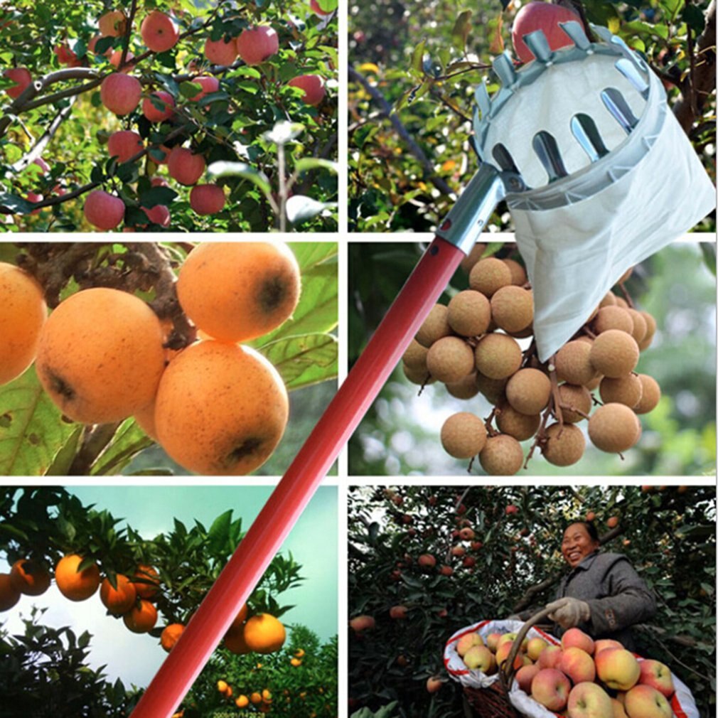 Cueilleur de fruits verger outil de jardinage haute arbre outils de cueillette de fruits collecteur de fruits outils de jardinage