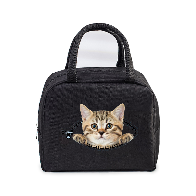 Lunch Bag for Women Men Insulated Portable 3D Cartoon Cats Multifunctional Bag Thermal Food Container School Kids Picnic Handbag: Kości słoniowej