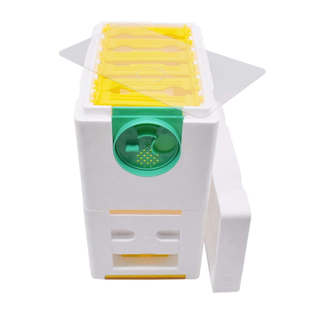 Biodling drottning uppfödning mini parning bikupa diy biodling kung pollinering låda