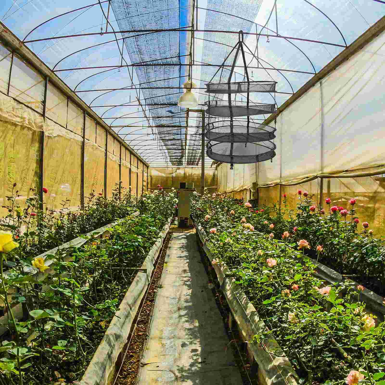1Set Orchard Drying Net Drying Net Round Drying Net Herb Drying Rack for Garden Outdoor Home
