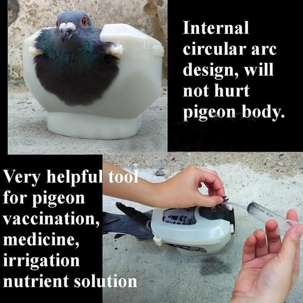 Plastic Racing Pigeon Holder For Injection Feeding Fixed Mount Bird Supplies Frame Rack Box Pigeon Vaccination Medicine Feeding