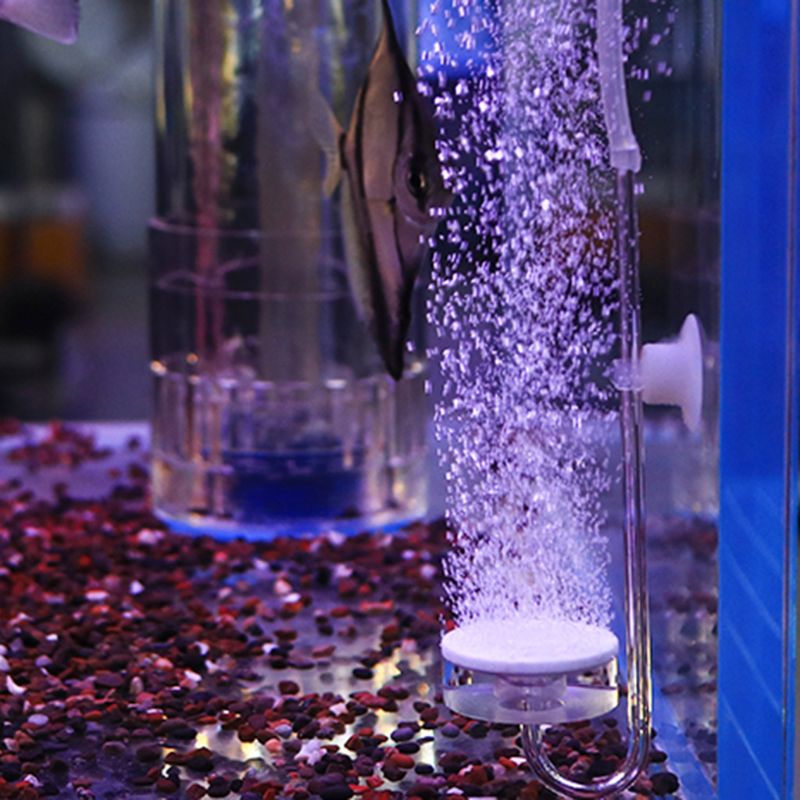 Aquarium Co2 Bubble Diffuser Air Bubble Disk Atomizer Arcylic Tube with Suction