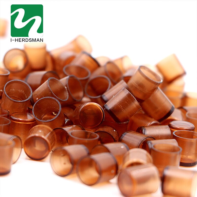 Boîte de levage pour abeilles, 240 pièces, cellules reine brune, gobelet en plastique, outils pour apiculteur