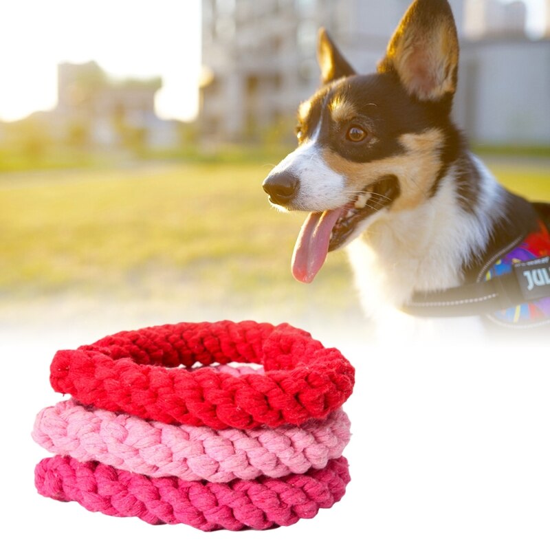 Beste honden kauwspeelgoed voor puppy's van 2023 kopen en overzicht Beste honden kauwspeelgoed voor puppy's van 2023 kopen en overzicht