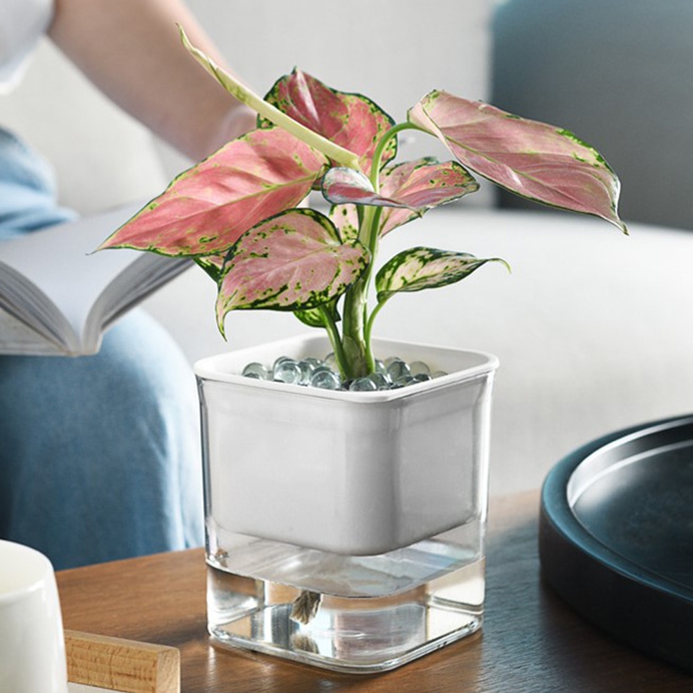 2 -etterslep selvvanning plantekasse hjemmehage kontor plante blomsterpotte med vannbeholder automatisk vanning hydroponisk plantepotte