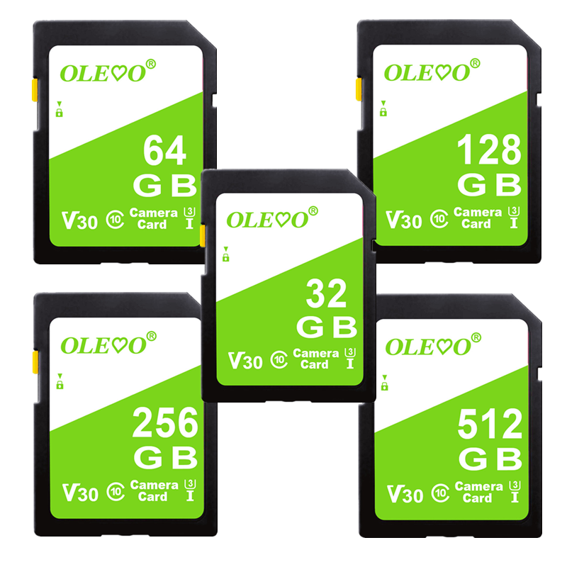 SD Memory Card 16GB 32GB 64GB 128GB 256GB 512GB C10 SD Card for Camera SRL