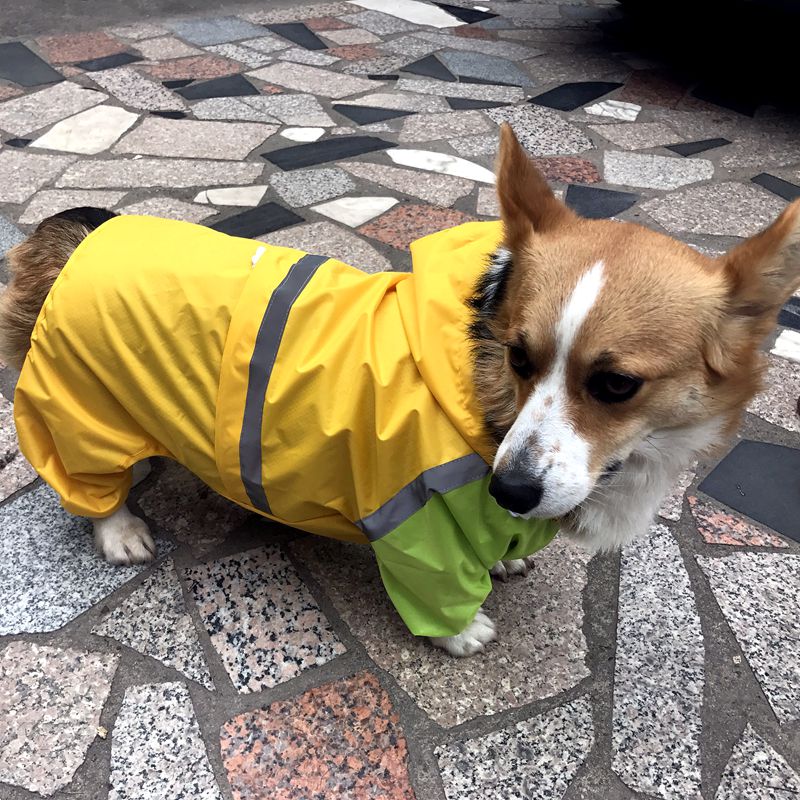 Welsh corgi hund regnfrakk vanntett klær jumpsuit bulldog alaskan malamute stor stor hund klær kostyme outftit