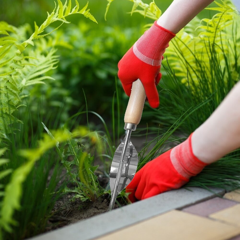 Poignée en bois acier inoxydable jardin désherbeur main désherbage enlèvement Cutter pissenlit extracteur outils multifonction désherbeur greffe