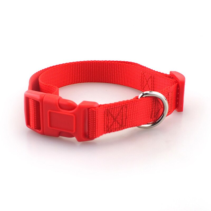 Klassiskt solid hundhalsband för hundar i nylon för små medelstora hundar kan matcha koppel och sele med snabbsnäppspänne: M 1.9cm / Röd krage