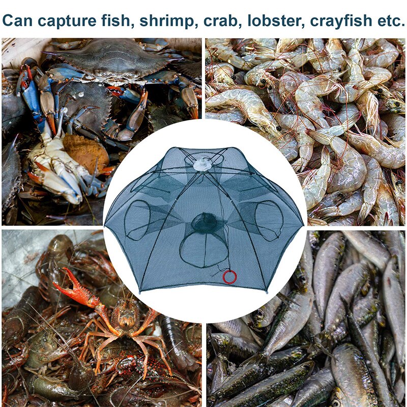 D.O.T PVA Fishing Nets Casting Network Mesh with Feeder for Fishing Tackle Trap for Fish Fly Carp Fishing Crab Catcher