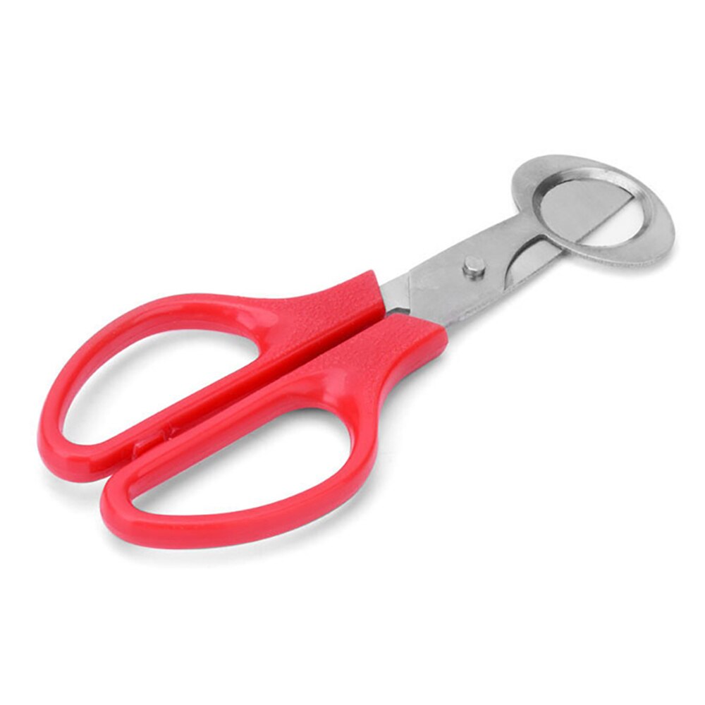 45Stck VöGel Wachtel Ei Eier Schere Taube Schneiden Öffner Schneider Küche Cracker Klinge Messer Grün Haarschneidemaschine Scher Aufschnittmaschinen Werkzeuge: verrotten