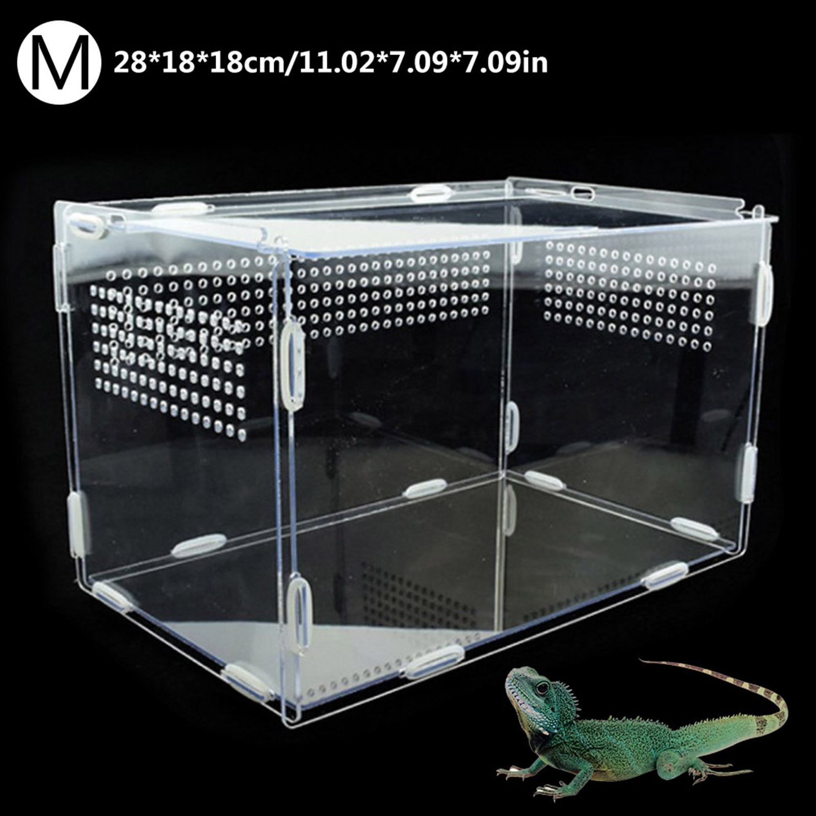 Reptile Breeding Box Transparent Acrylic Reptile Tank Terrarium Insect Spiders Lizard Frog Cricket Turtle Feeding Box Terrarium: 28x18x18cm