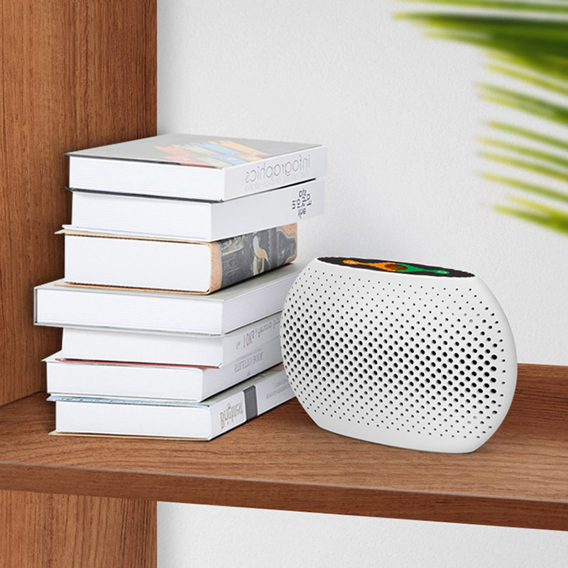 Luftentfeuchter für zu Hause, tragbarer wiederaufladbarer Luftentfeuchter, kabelloser, erneuerbarer Lufttrockner, der Feuchtigkeit absorbiert, tragbarer Luftentfeuchter