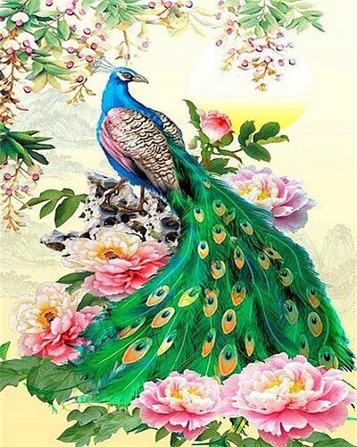 EverShine Painting By Numbers Animals Canvas Wall Set Paint By Numbers For Adults Peacocks Drawing Art: SZES-972