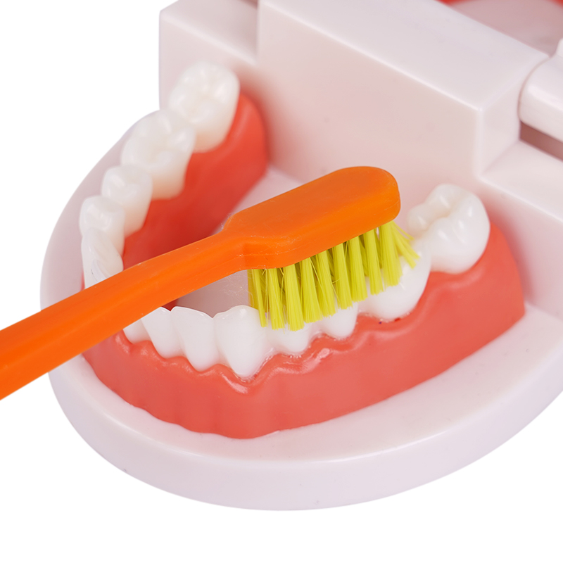 Zachte Tandenbrushe Kleurrijke Volwassen Orthodontische Tandenborstel Huishoudelijke Dagelijkse Schoonmaak Tandenborstel Mondhygiëne