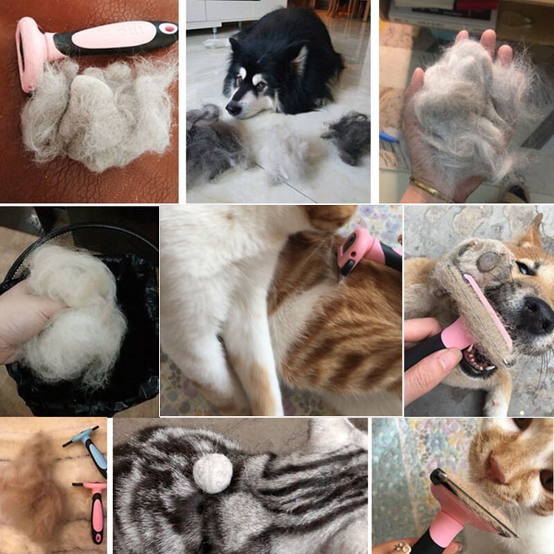 Hond Borstel Pet Grooming Tool Ontharen Kam Voor Honden Katten Borstel Afneembare Haar Verlies Trimmen