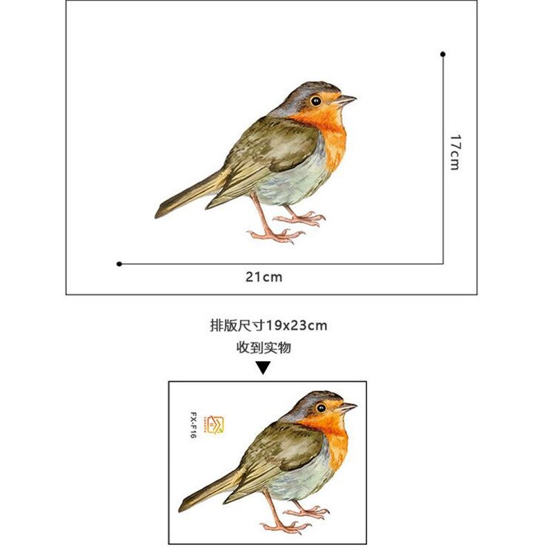 Vivid bird Wall Sticker declas living room bedroom decorations wallpaper Mural stickers