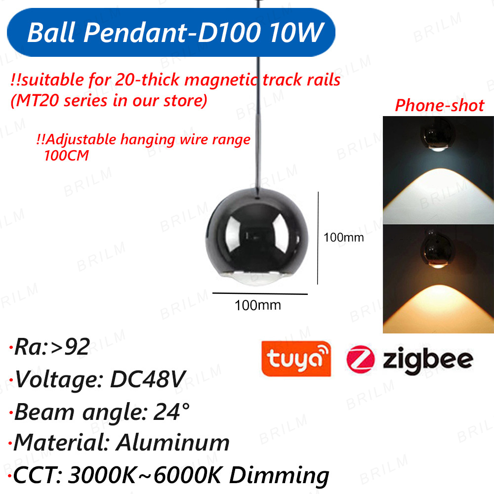 Zigbee3.0 luz de pista magnética inteligente tuya alexa dc48v led ponto grade de inundação lâmpadas pingente moderna casa sala estar preto: Luz Vermelha