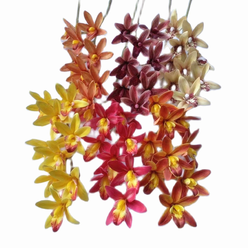 One Real Touch Cymbidium Orchid Flower Plant Artificial 9 Heads Phalaenopsis Orchis for Wedding Home Decorative Flowers