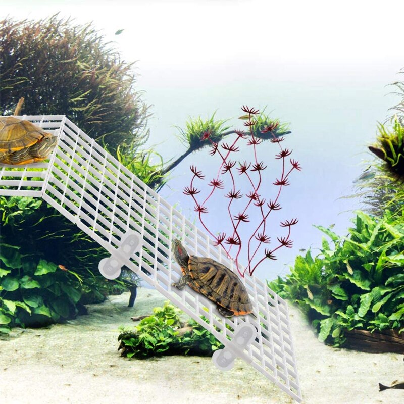 Grille de séparation pour Aquarium, 10 pièces, diviseur pour Aquarium, grille de séparation, plateau d&#39;isolation, grille avec 20 Clips de ventouse