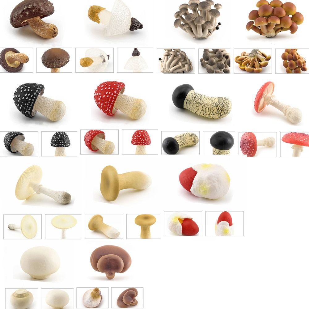 Modelo de vegetais estatuetas de fungos matsutake oyste simulação artificial cogumelo pleurotus planta modelo de fungo decoração de jardim
