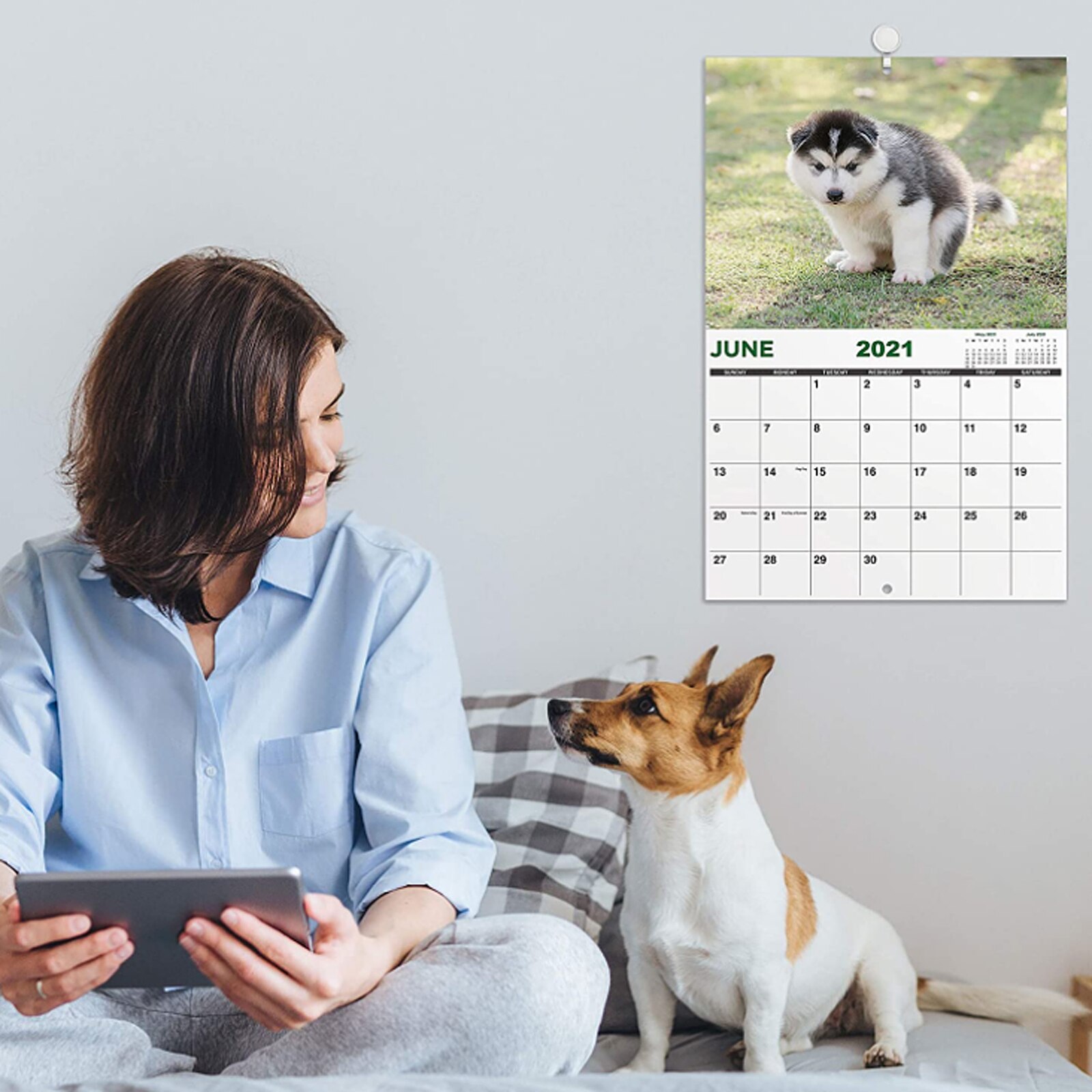 Pooping Pooches Kalender Poches Kalender Is Een Parodie Van De Hond Kak Kalender Nieuwjaar Hond Dier Lover