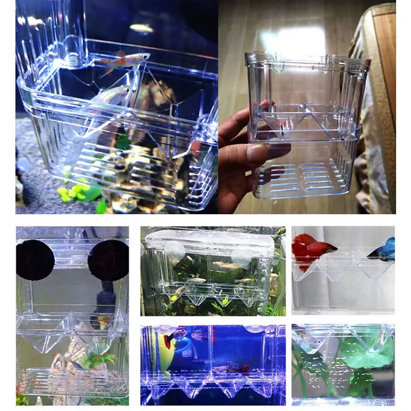Fish Tank Fok Isolatie Box Uitkomen Incubator Isolatie Acryl Aquarium Tanks Duurzaam Aquarium Broederij Incubator Houder
