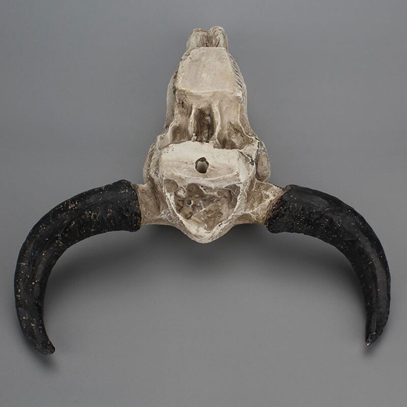 Harpiks langhorn ko kraniet hoved væghængende indretning 3d dyreliv dyreliv skulptur figurer håndværk horn til hjem halloween indretning