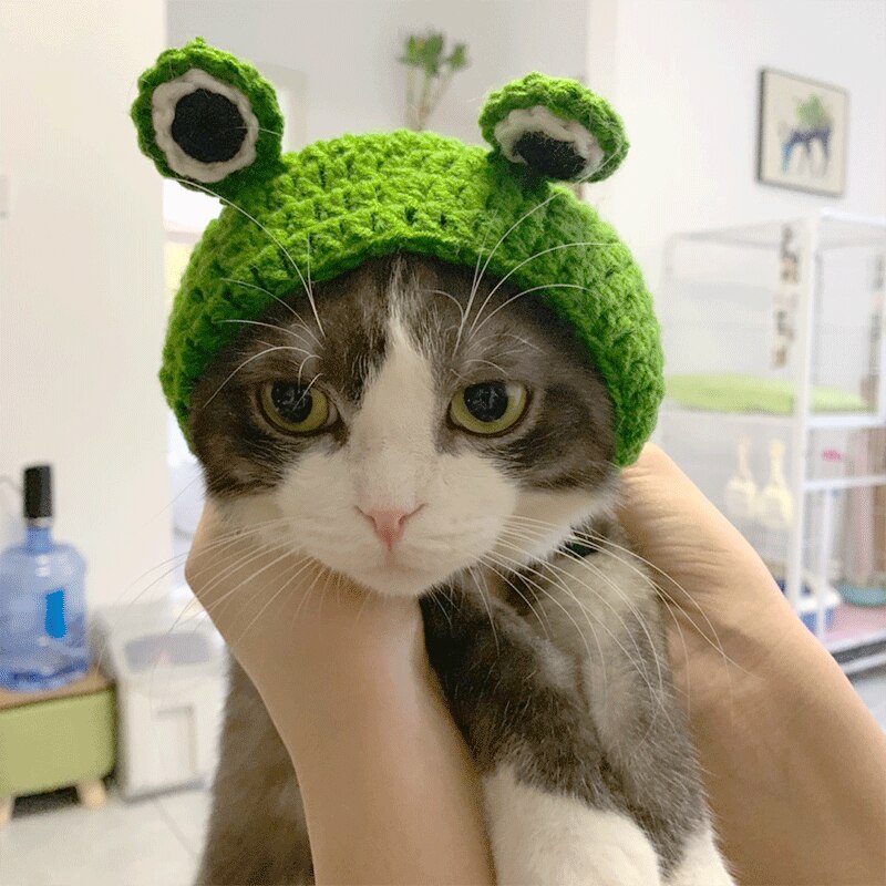 Gorros de lana de punto con dibujos animados para gato, cachorro, gato, Rana, cabeza de disfraz, engranaje, forma de rana, gorro de gato para invierno, accesorios para disfraz de Mascota