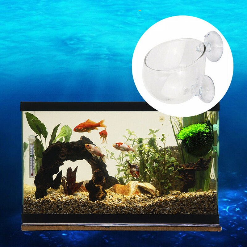 Aquarium Accessoires Crystal Clear Glas Plant Pot Plant Bekerhouder Aquarium Landschappen Cups