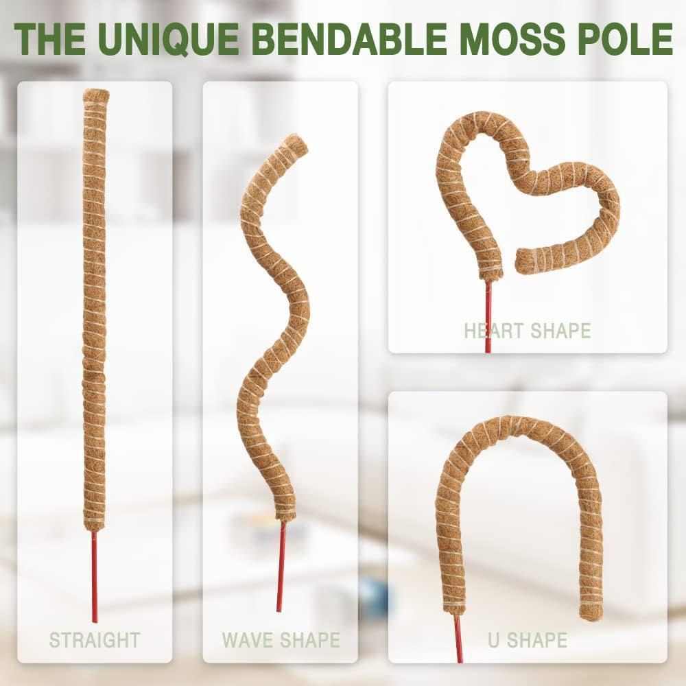 1pc pólo de musgo dobrável para plantas pólos de musgo para plantas de escalada | Suporte para plantas Monstera em fibra de palmeira de coco | Coco feito à mão: XL