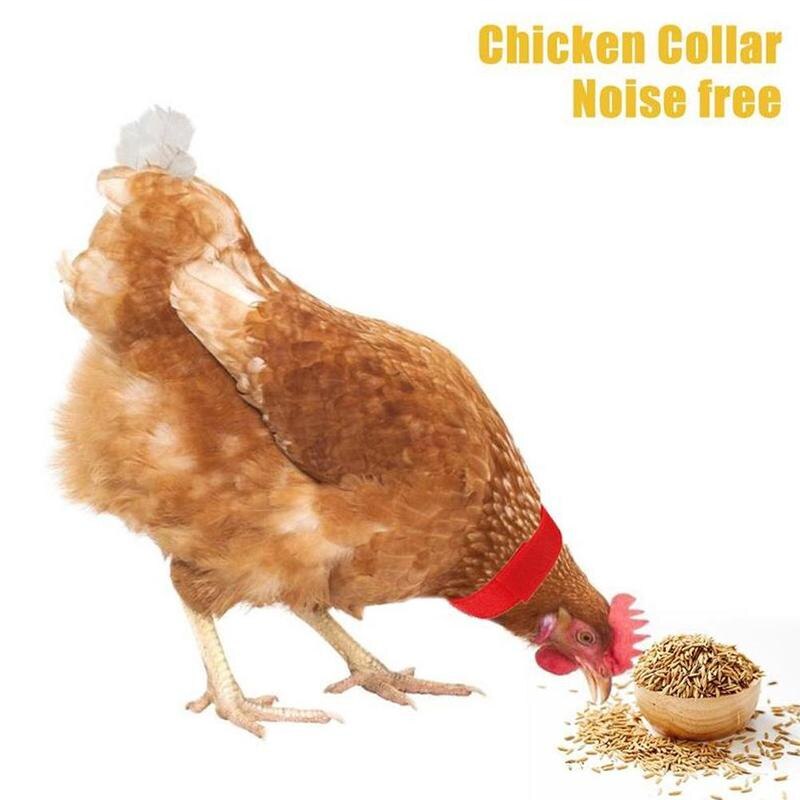 Collar de gallo sin cuervos, Collar de pollo, sin ruido, banda para el cuello antigancho, suministros de herramientas para mascotas, 2 uds.