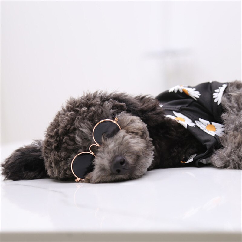 Pet suave Gato gafas de perro para mascotas de color al azar para perrito ojo de gato ropa de perro gafas de sol fotos de productos para mascotas