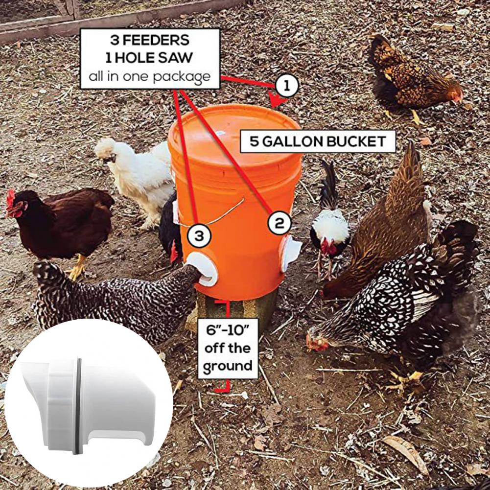 1 Set Modern Duck Feeder Kit Moisture-proof Detachable with Waterproof Seals Effortless Chicken Duck Feeder Kit