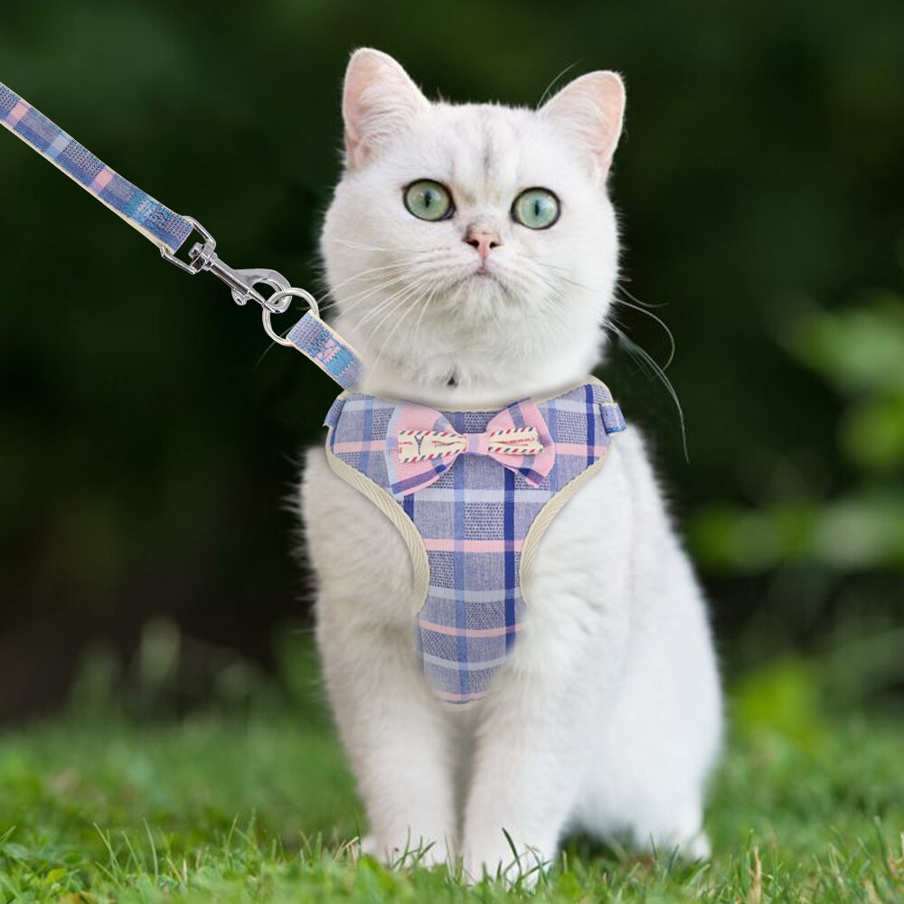 Söt liten valp kattsele mjuk mesh hund katt kattunge sele koppel set för chihuahua mops små medelstora hundar katter sele väst