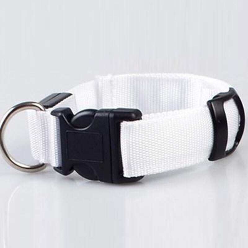 Collier Fluorescent en Nylon pour Chien, accessoire lumineux de nuit, lumière LED, harnais pour Chihuahua, Pitbull, EE5QY