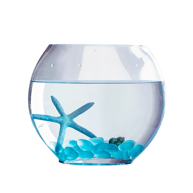 Mini Aquarium en verre plat Transparent ovale, accessoire décoratif pour bureau, Mini Aquarium, ZA210