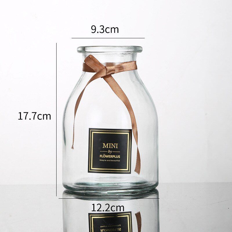 Vaas Decoratie Transparante Creatieve Vaas Bloem Glazen Fles Bloem Vaas Glas Flessen Mason Jars