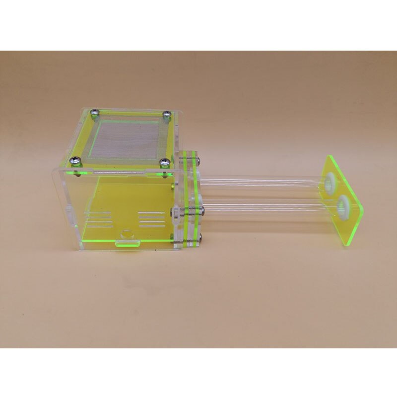 Groene dubbele reageerbuis mierennest acryl mierenboerderij acryl insecten terrarium: Kleur-c