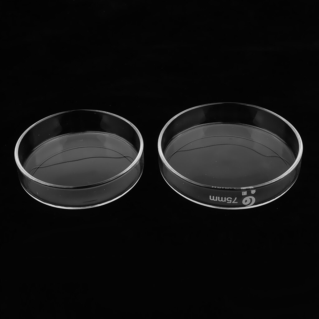 Glas petriskål glas steriliseret celle/plantevævskulturskål 60/75/90/100mm: 75mm