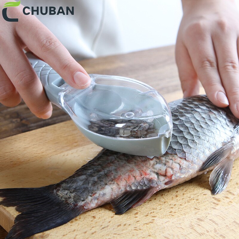 CHUBAN utensilios domésticos de cocina tapa de pescado Escala de cocina cepilladora de pescado Escala de cepillo Manual pescado raspado de escamas utensilios para marisco A239