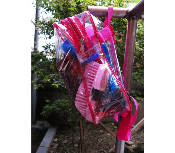 Freies 10-teilig pferd Körperpflege setzt, pferd kamm, haustiere pinsel, pferd reinigungswerkzeuge (CB9063)