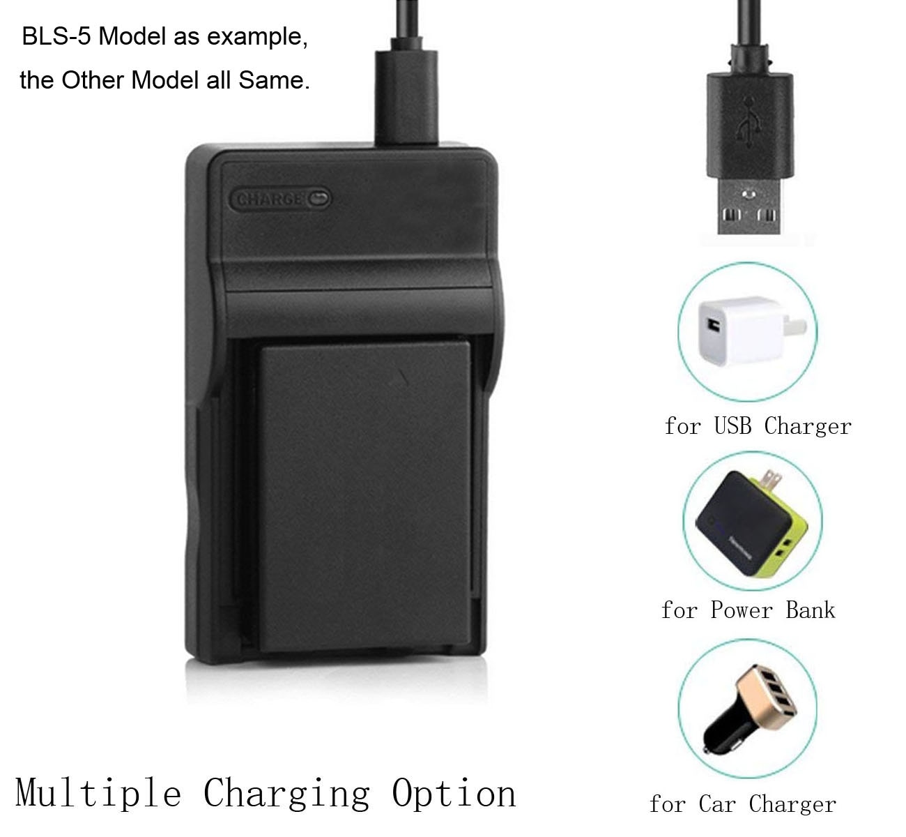 Battery Charger for Panasonic Lumix DMC-F5, DMC-FH10, DMC-FS50, DMC-SZ3,DMC-SZ8,DMC-SZ9,DMC-SZ10, DMC-XS1,DMC-XS3 Digital Camera